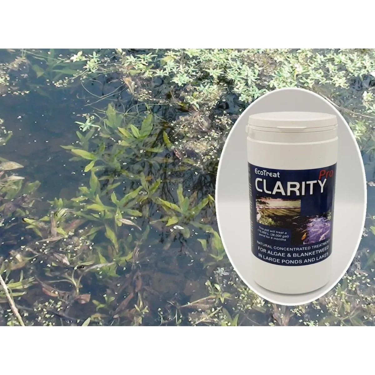 Clarity PRO Pond Treatment