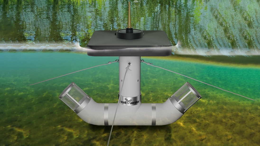 1 Shallow water fountain