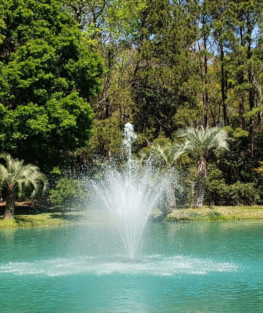 Vanguard Hydro-Torque 1100 Series Floating Lake Fountain