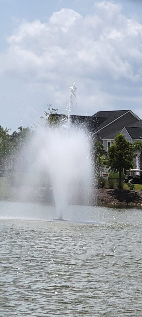 Vanguard Hydro-Torque 2750 Series Floating Lake Fountain