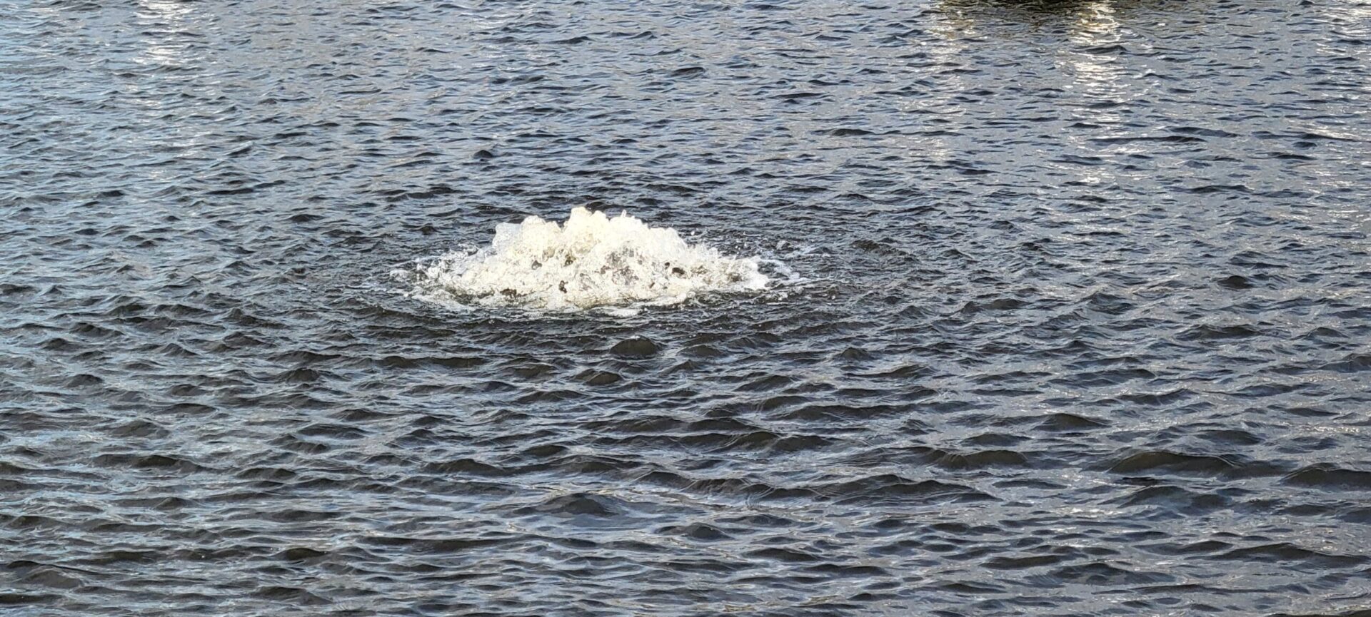 Vanguard Pond-Spa Surface Aerator / Deicer