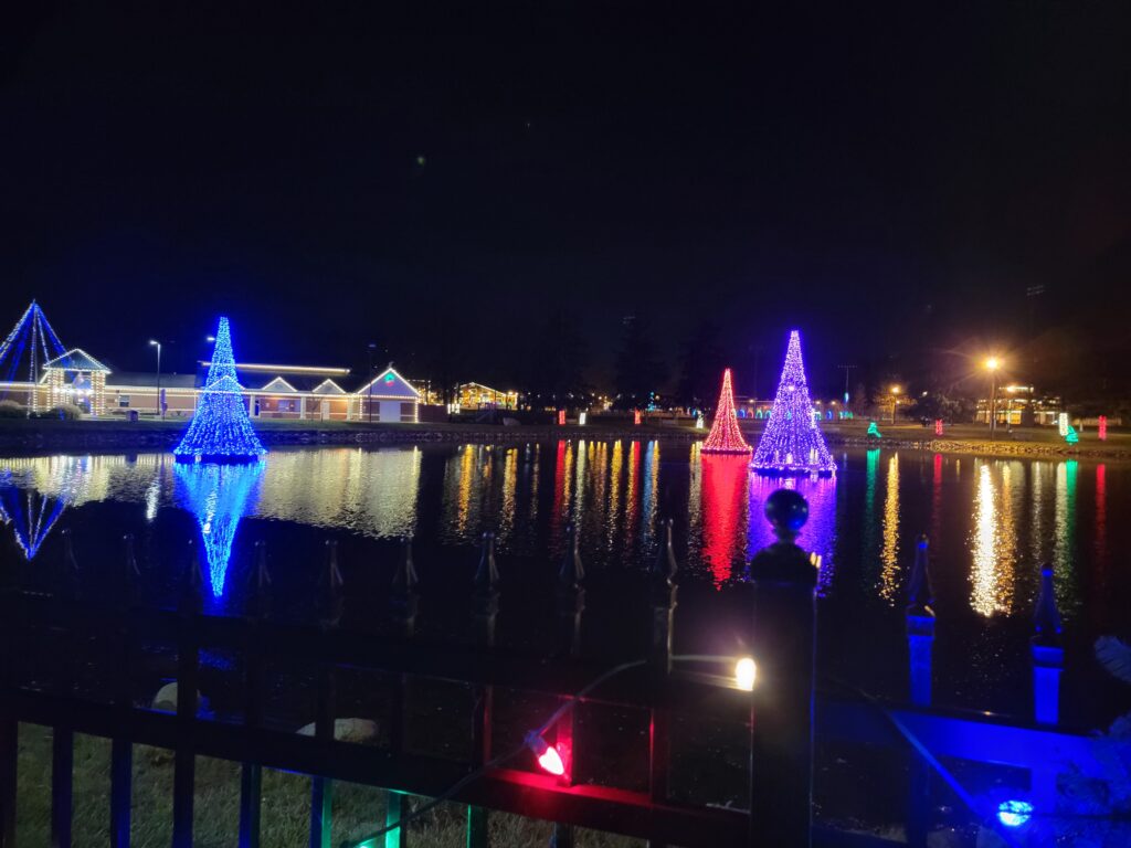 Vanguard Majestic Floating Christmas Trees