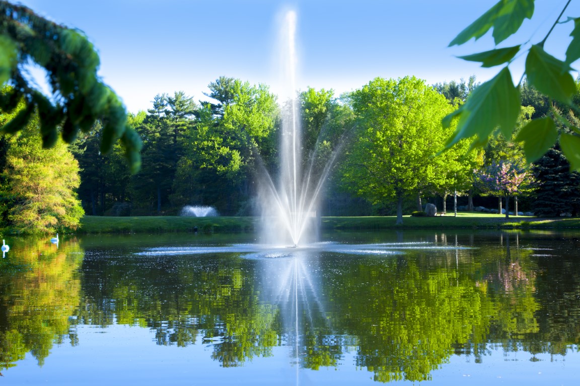 Atriarch Fountain 1.5HP