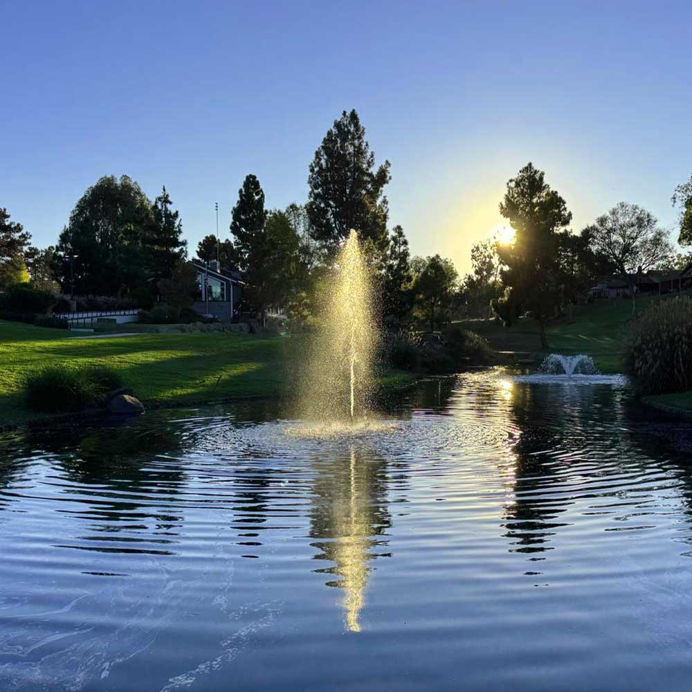 PondSelect Classic Series 1/2 HP Pond Fountain, 5 Spray Patterns – 120V