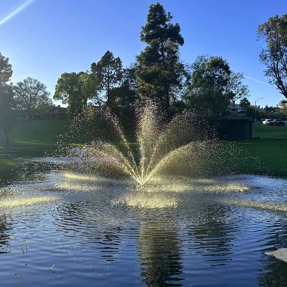 PondSelect Classic Series 1/2 HP Pond Fountain, 5 Spray Patterns – 120V