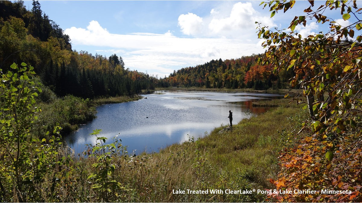 ClearLake™ Pond & Lake Clarifier - Image 4