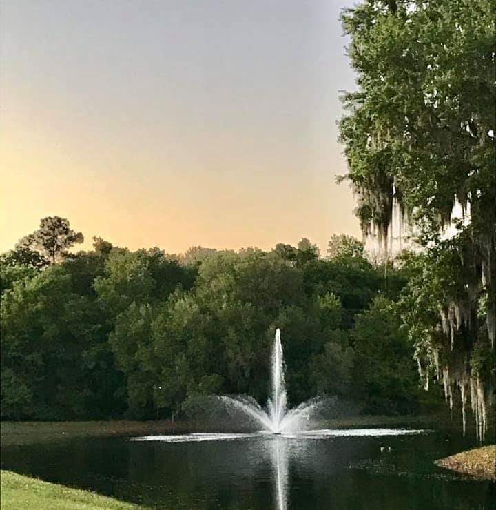 Vanguard Hydro-Torque 1100 Series Floating Lake Fountain