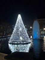 Vanguard Majestic Floating Christmas Trees