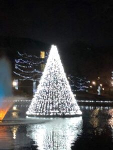 Vanguard Majestic Floating Christmas Trees