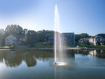 Fountain in a pond with houses and trees in the background