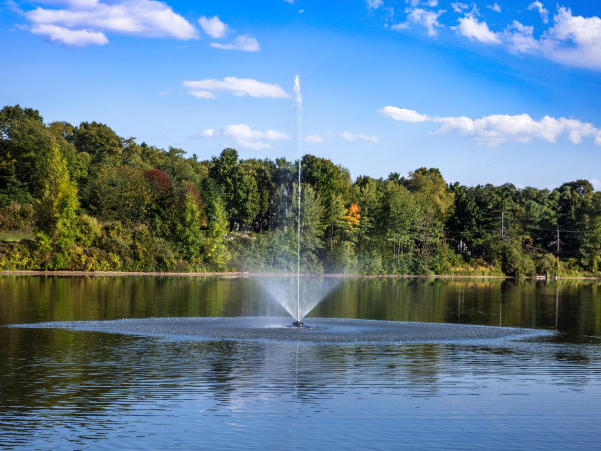 Fishing lake with a fountain in the center, surrounded by trees under a blue sky.