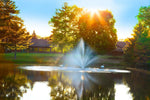 A fountain with a multi-tiered spray pattern is visible in a pond, with sunlight shining through trees in the background, indicating that the fountain is operational.