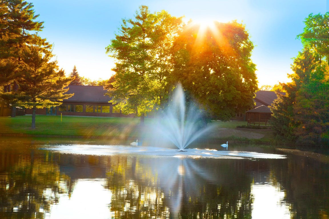 A fountain with a multi-tiered spray pattern is visible in a pond, with sunlight shining through trees in the background, indicating that the fountain is operational.