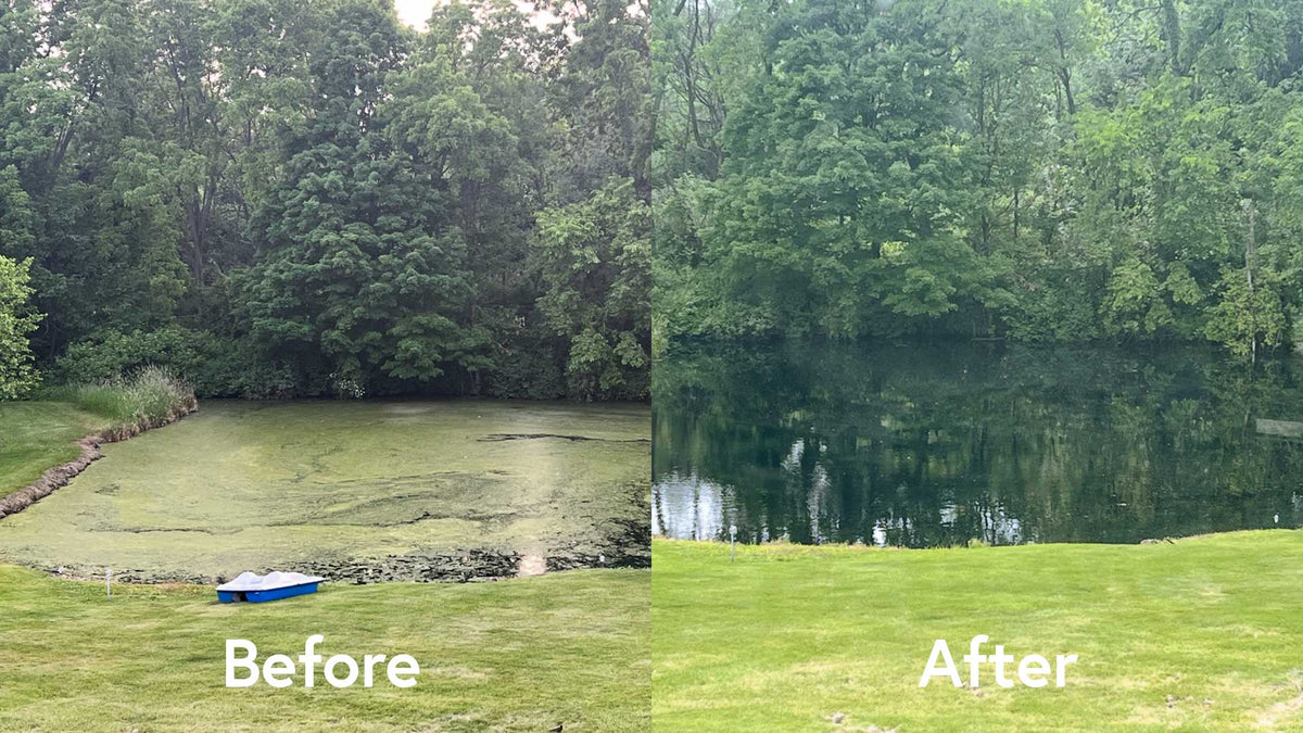 Side-by-side comparison of a pond before and after cleaning, with trees and grass in the background.