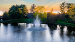 amherst fountain
