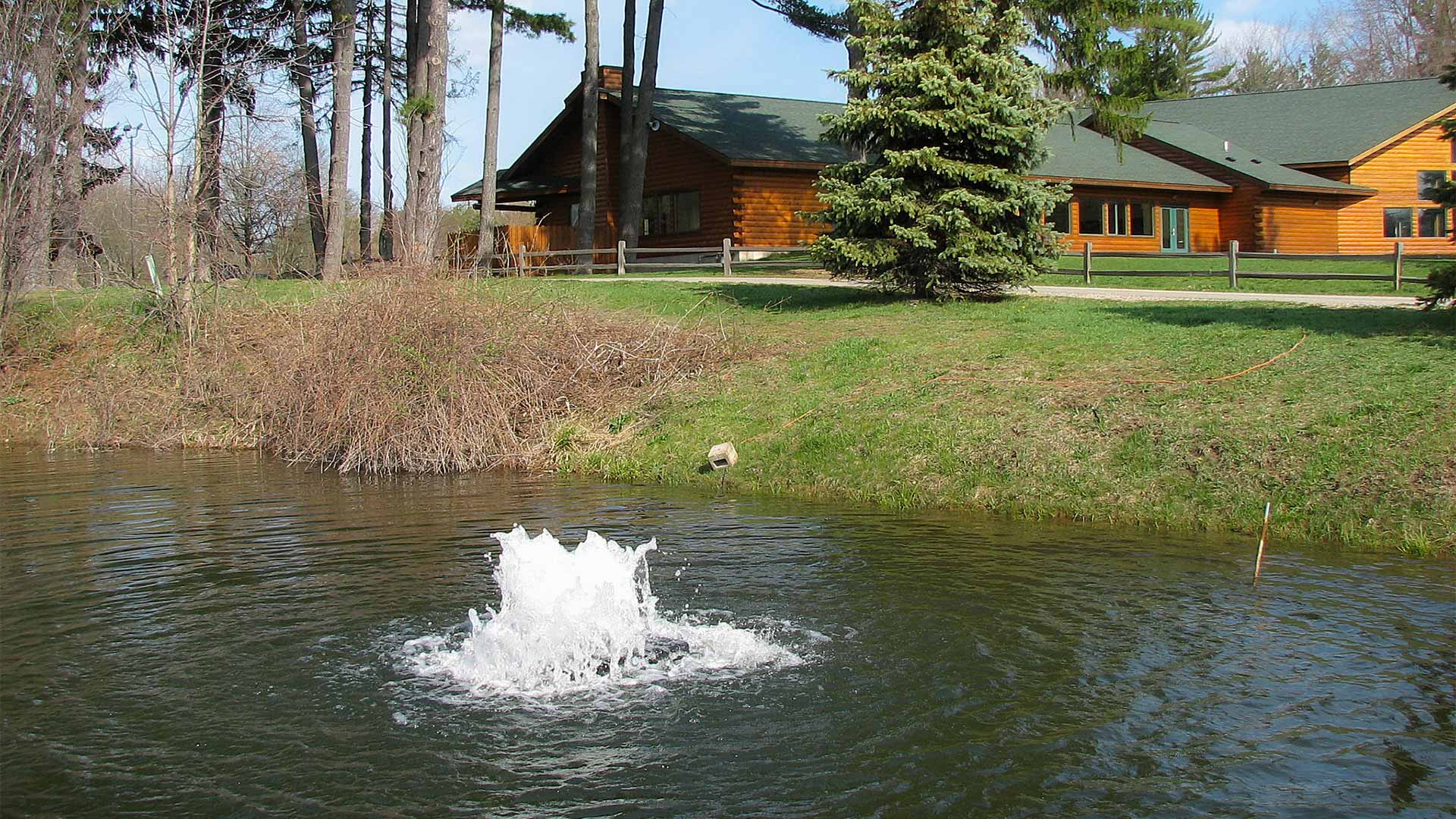 Boilermaker for small residential ponds, best for pond aeration