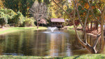 DA-20 Display Aerator by Scott Aerator