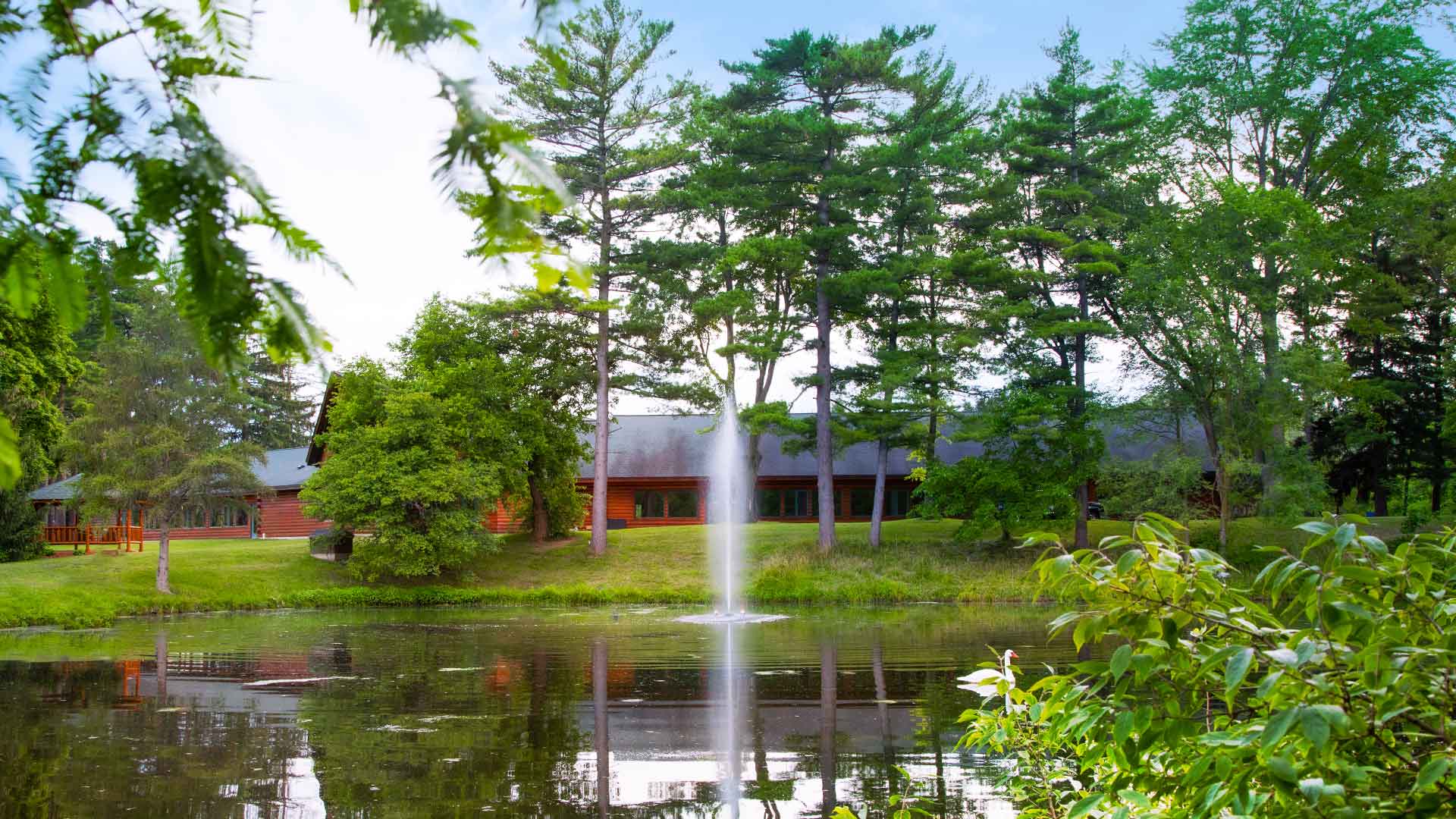 Gusher Fountain Aerator for Residential Ponds
