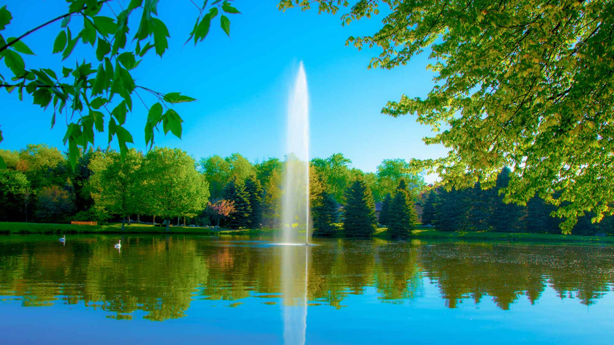Keep your pond healthy by infusing oxygen with the help of the Gusher Fountain.