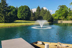 Pond with a fountain surrounded by trees and grass on a sunny day